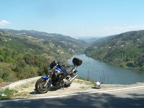 Bulldog Douro Valley.jpg