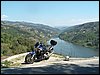 Bulldog Douro Valley.jpg